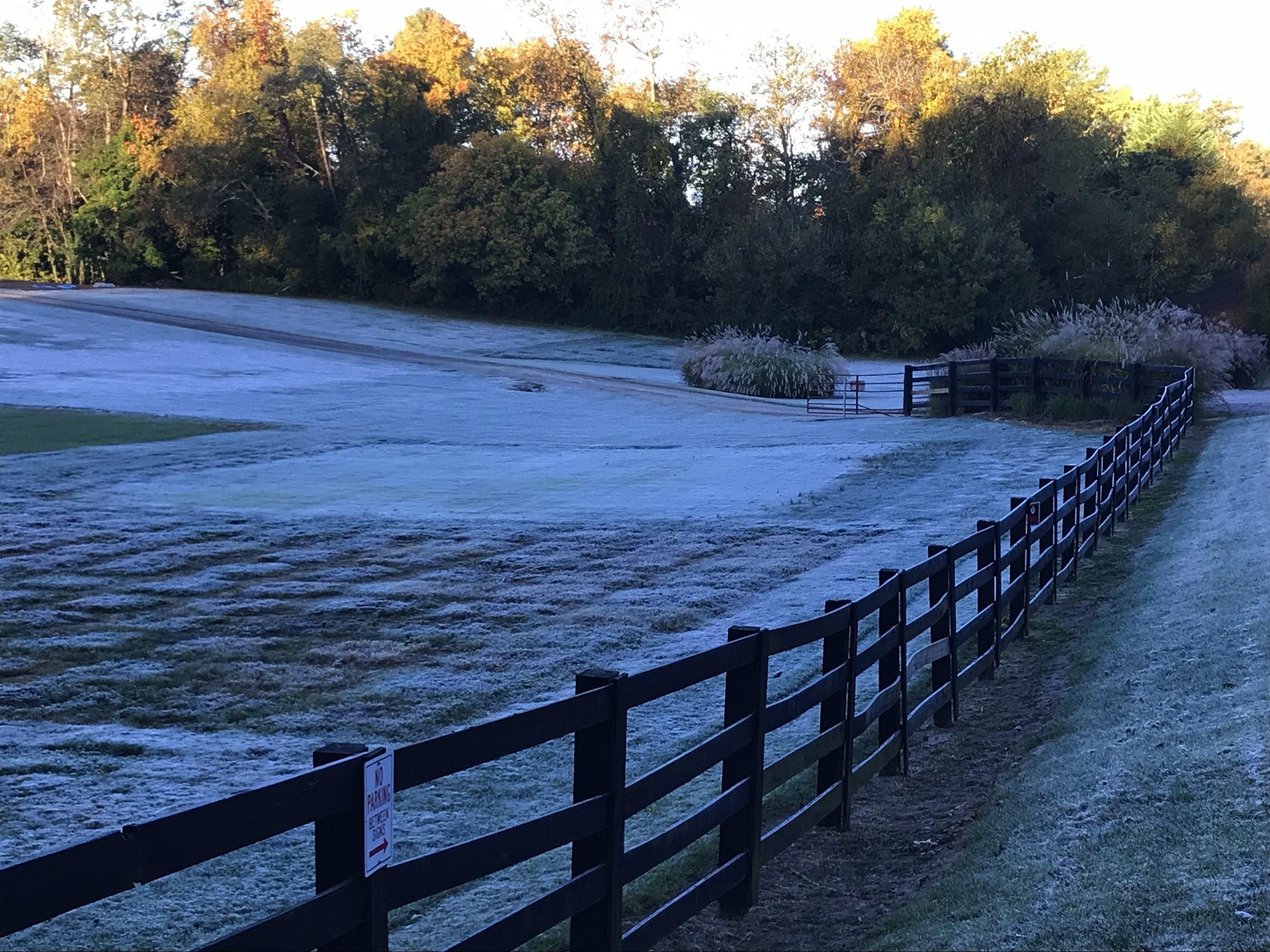 First freeze of October for Southwest Virginia - Cardinal News
