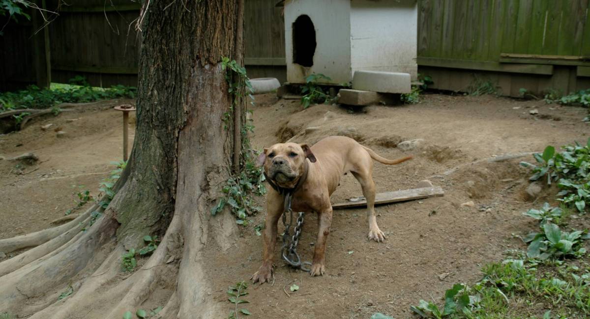 Virginia is the only state whose attorney general's office includes an