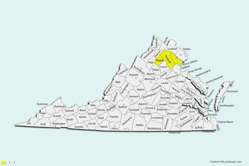 The three counties in yellow are the ones that Senate Republican candidate Hung Cao says are "Southern Virginia." Courtesy of Paintmaps.