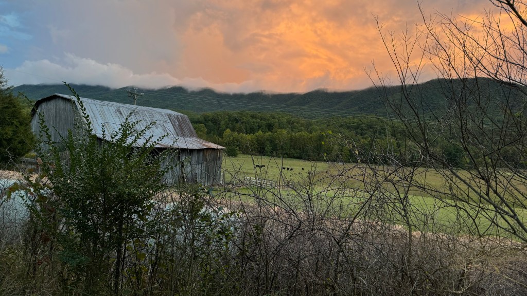Late-day sun illuminates cumulus clouds on the horizon after two days of intermittent rain on Wednesday, Sept. 18. Courtesy of Tina Gibson.