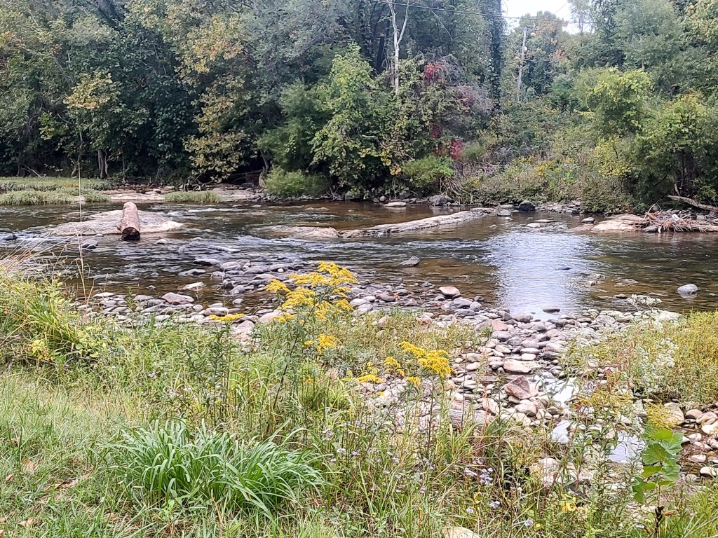 The contrast between photos of the same section of Roanoke River in Salem between Monday, Sept. 16, and Wednesday, Sept. 18, shows the effects of 2-4 inches of rain with some locally higher amounts in the Roanoke Valley area from the inland effects of what had been Potential Tropical Cyclone 8. Courtesy of Doug Griggs.