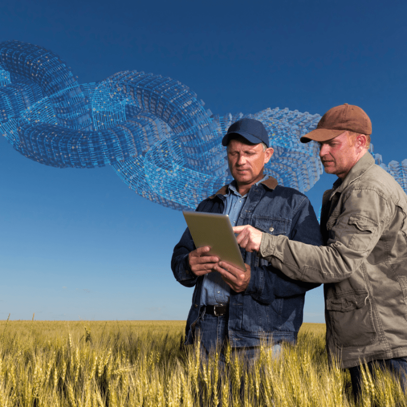 How blockchain is transforming fhe future of Virginia agriculture
