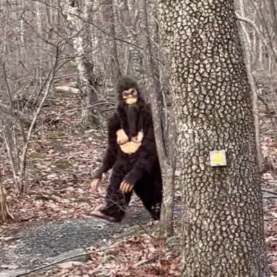 Recent Bigfoot sightings at Wintergreen were a hoax. But these men say they’ve seen the real thing in the woods of Virginia