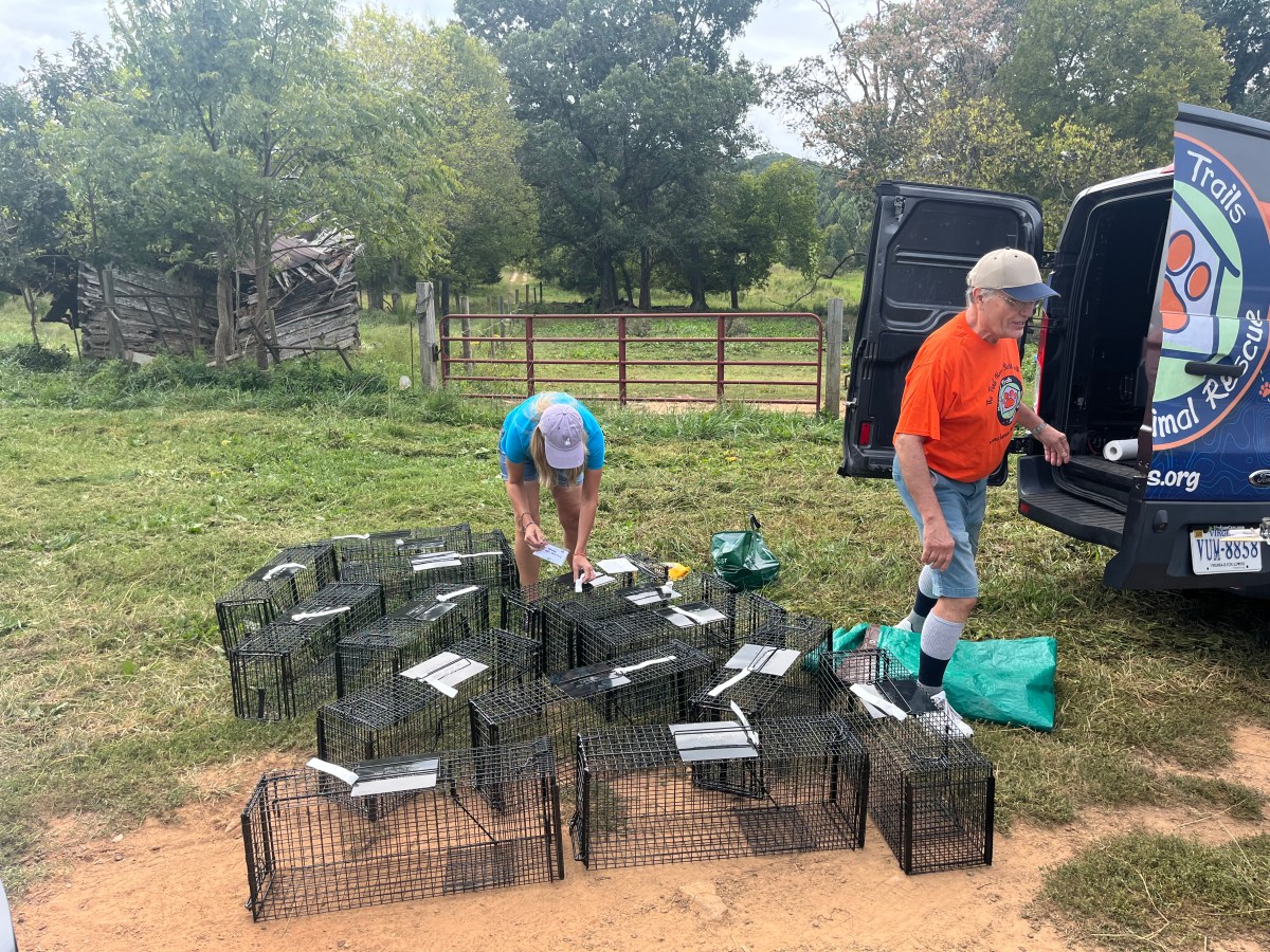 How are animals best served? Difference in ideology colors debate over Danville shelter